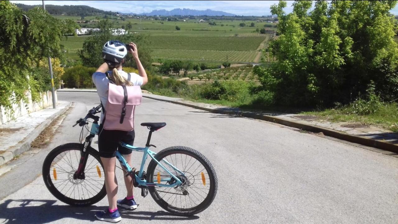 Tina De Vila, En La Capital Del Vino บิลาฟรังกา เดล เปเนเดส ภายนอก รูปภาพ